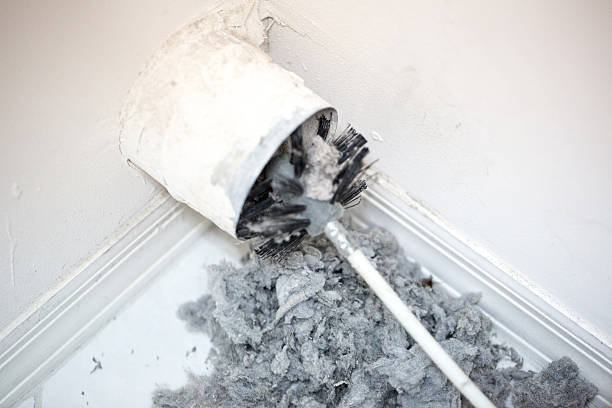 Best Local Air Duct Cleaning Services  in Lugoff, SC